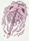 horseshoe-crab-x-trilobite-hybrid-2025